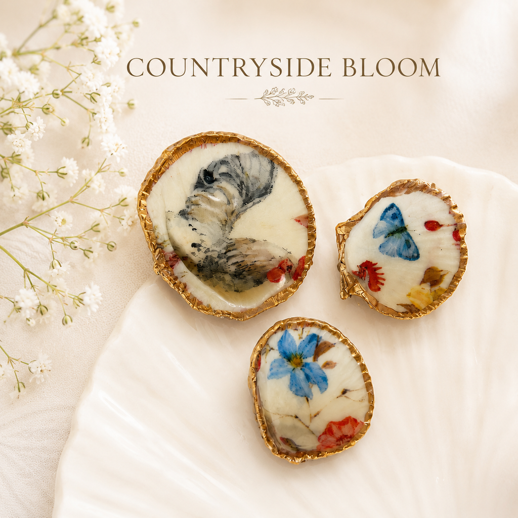 Tide Treasures | Set of 3 Shell Magnets