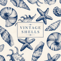 Treasure Cove | Scallop Shell Jewelry Dishes